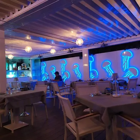 Tiffany 3* 팔리누로