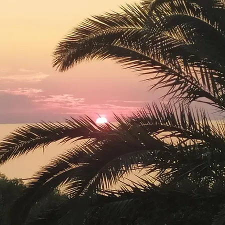 B&B Tiffany 팔리누로